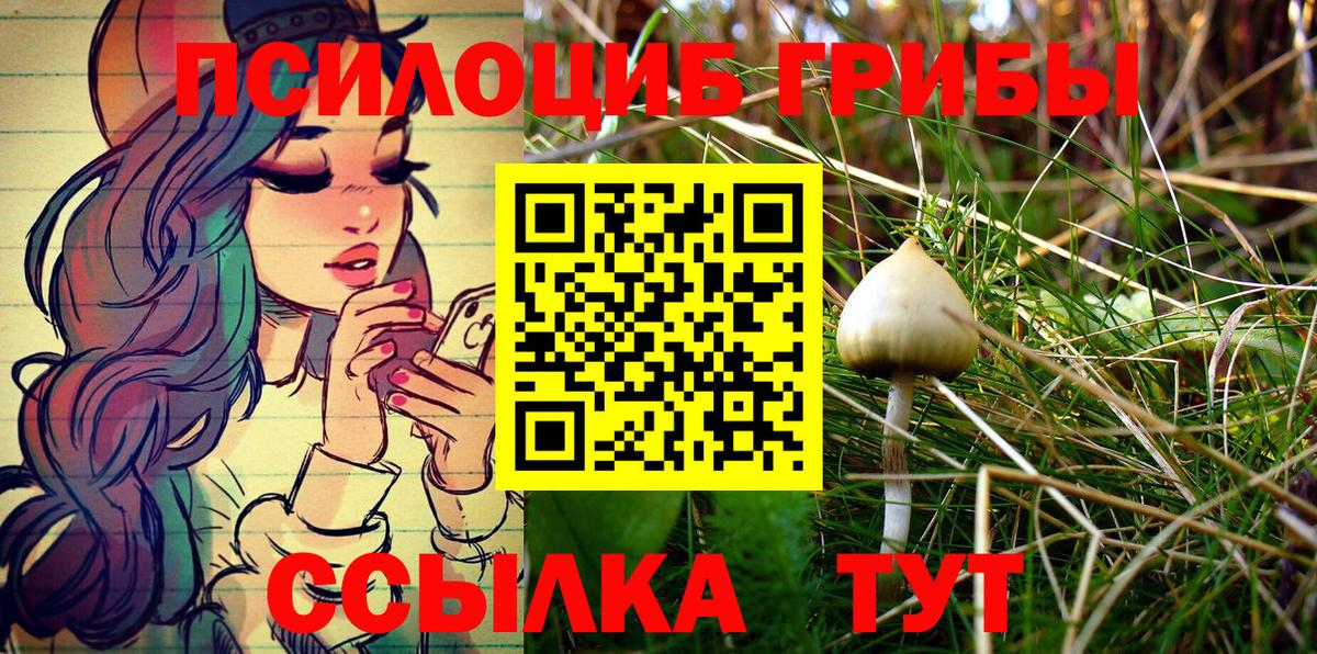Псилоцибиновые грибы ЛСД Костомукша