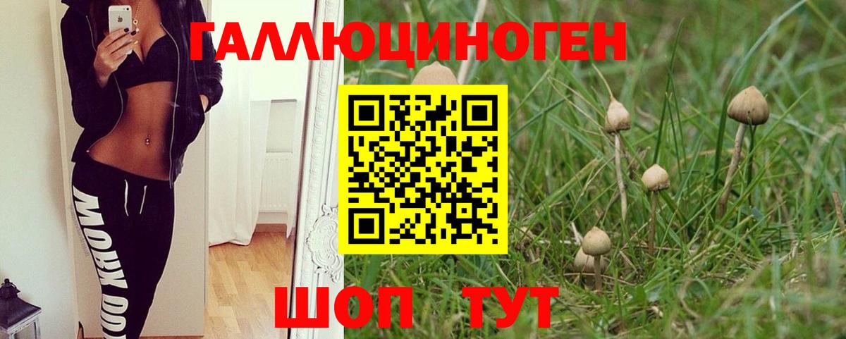Костомукша  Галлюциногенные грибы мицелий  Вход с VPN 